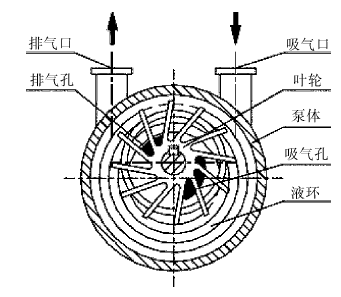 水環式真空泵工作原理